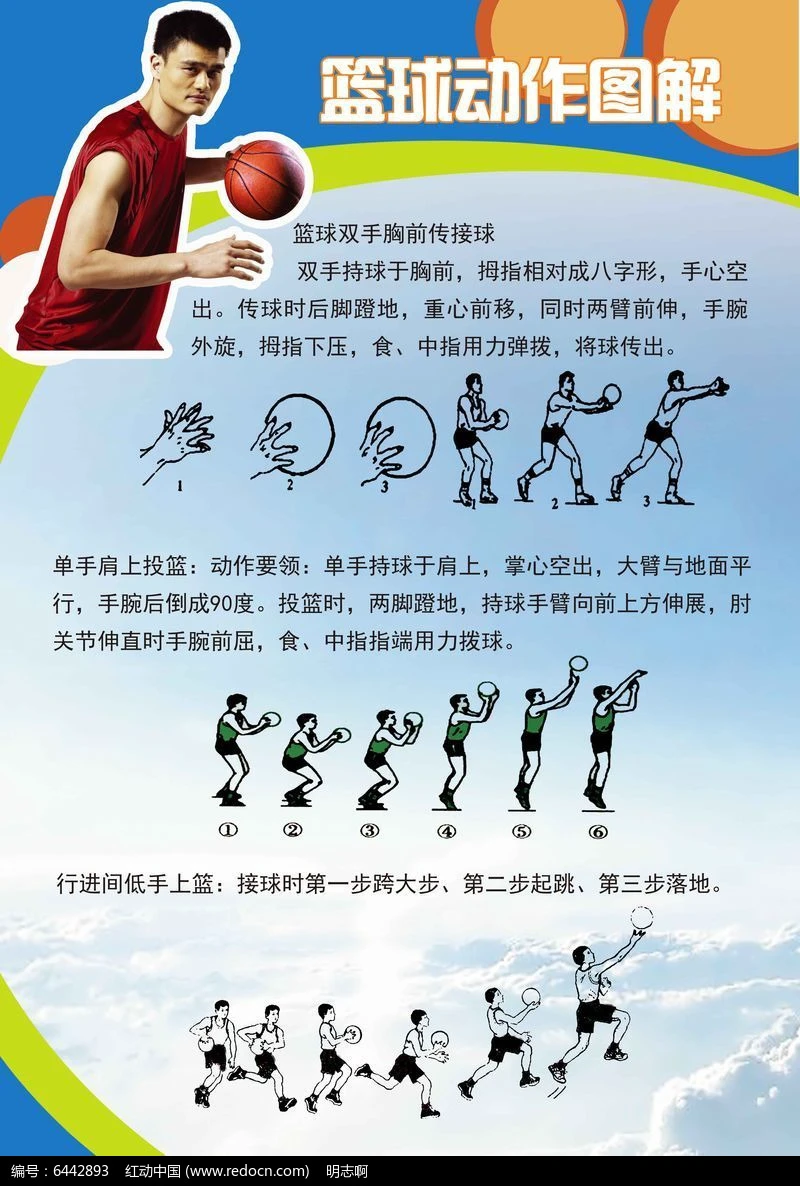 哪里能找到适合篮球运动员的热敷产品_0